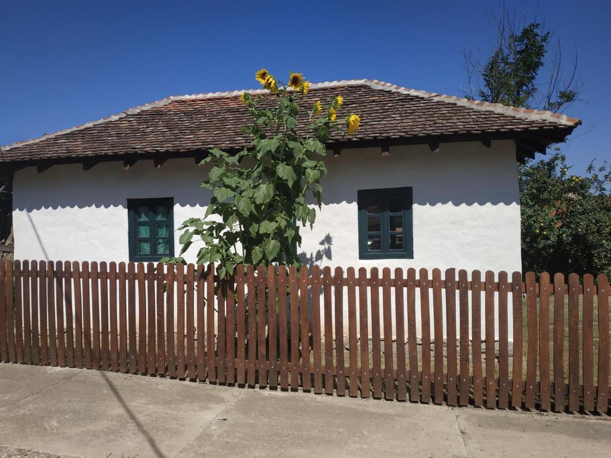 Stara Kovacnica Villa โกลูบาค ภายนอก รูปภาพ
