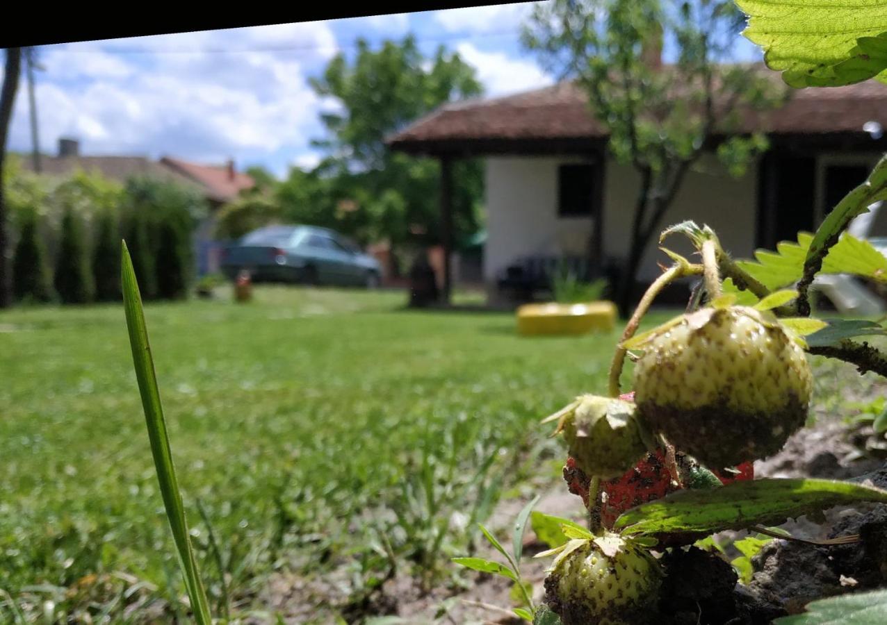 Stara Kovacnica Villa โกลูบาค ภายนอก รูปภาพ