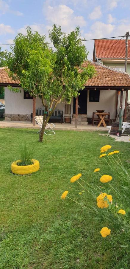 Stara Kovacnica Villa โกลูบาค ภายนอก รูปภาพ